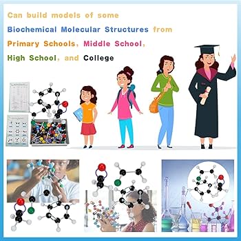 Amazon | 有機化学分子モデルセット 267個 分子有機無機構造